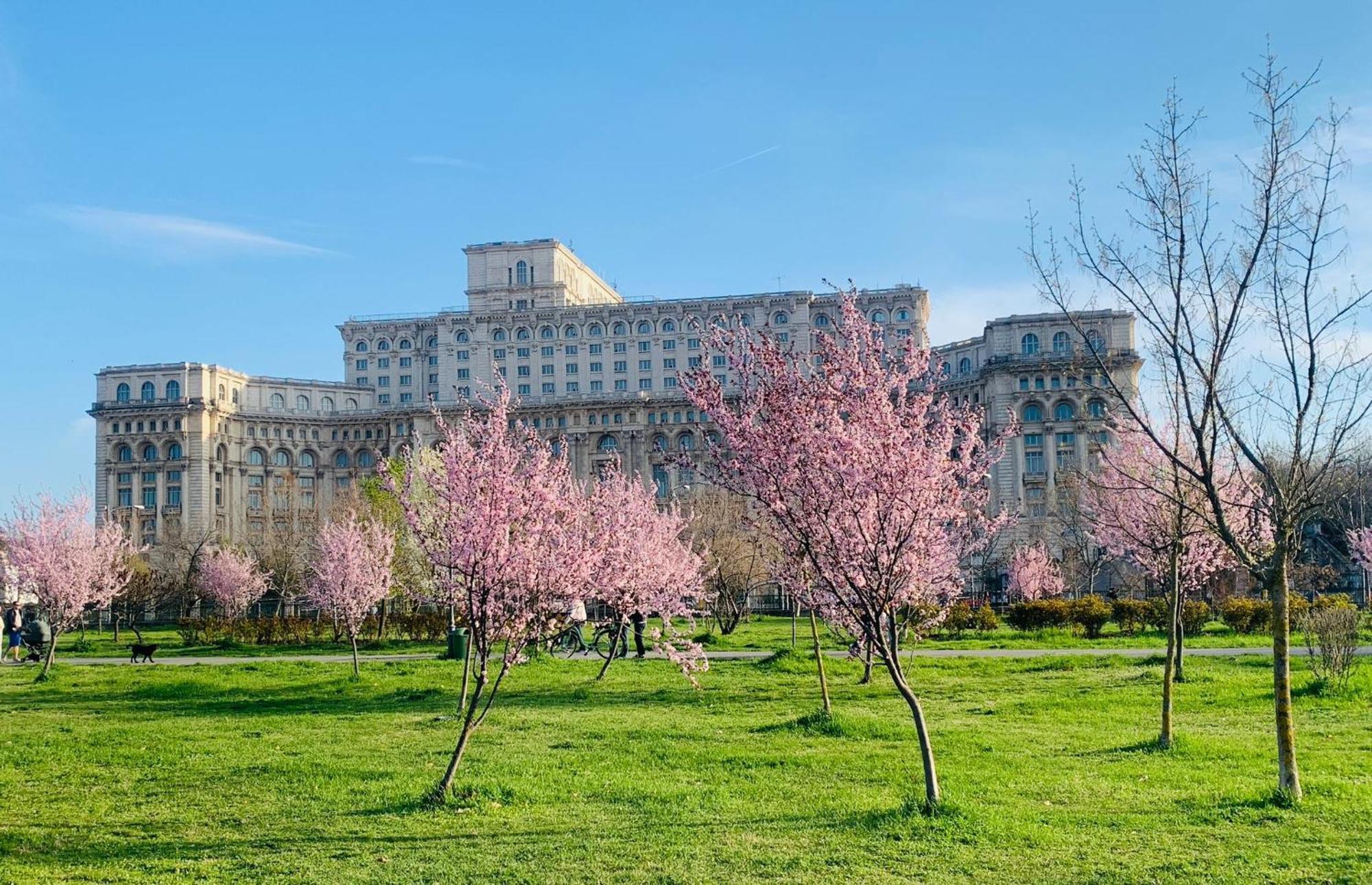 Chic Piata Constitutiei - View From The Balcony To The Palace Of Parliament Apartment Bukarest